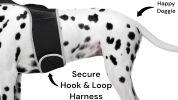 Pet Tracker GPS Pet Tracker Dog Cat Waterproof Collar Pet Tracking Device Size:L