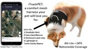 Action Activated Mini Dog GPS Tracking Device Rechargeable Pet Tracker Size:M