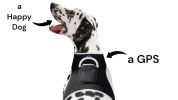 Enhanced GPS Pet Finder System Pet Tracker Waterproof Dog Tracking Device Size:L