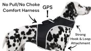 Realtime Waterproof Mini Collar GPS GSM GPRS Tracker for Pet Dog & Cat Size:XS