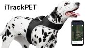 Pet Tracker GPS Pet Tracker Dog Cat Waterproof Collar Pet Tracking Device Size:L