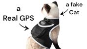 NEW Waterproof Animal Tracker GPS GSM Mini Anti-Loss Locator for Dogs Size:L