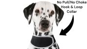 Realtime Waterproof Mini Collar GPS GSM GPRS Tracker for Pet Dog & Cat Size:XS