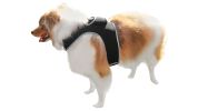 NEW GSM GPS Mini Collar Waterproof Realtime Tracker - Your Dog Safety Size:L