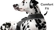 NEW GSM GPS Mini Collar Waterproof Realtime Tracker - Your Dog Safety Size:L