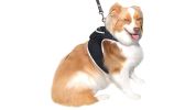 NEW GPRS GSM Small Pet GPS Tracker Waterproof Security for Cat & Dog Size:L